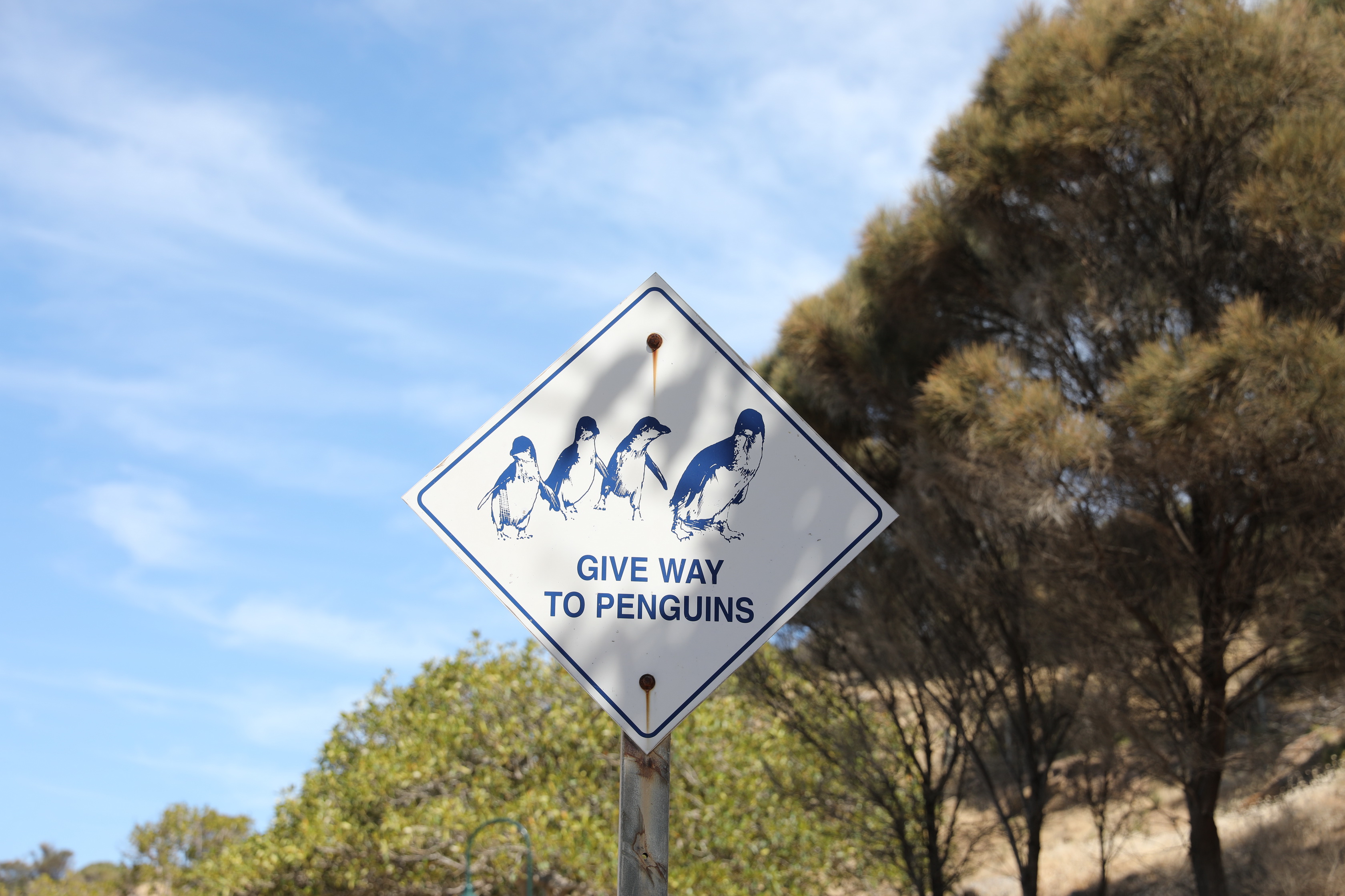 2019 11 24 15 26 57 Canon EOS 5D Mark IV 0024